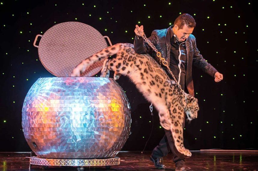 Dirk Arthur, Last of the Big-Cat Las Vegas Magicians, Dies at 63