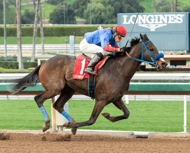 Breeders Cup Death Sparks Call to Suspend Horse Racing at Santa Anita, Ban Whip