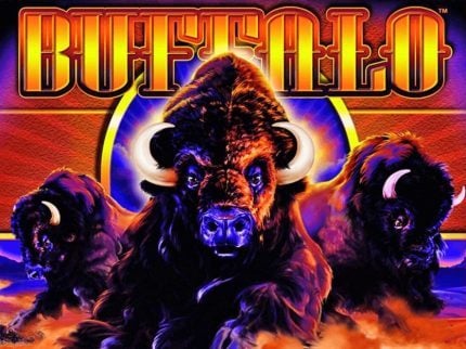 BetMGM Launches Famed Buffalo Slots on New Jersey Internet Casino