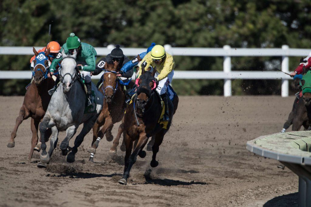 Fonner Park, Tampa Bay Downs Look To Extend Meets, As COVID-19 Delays Other Openings