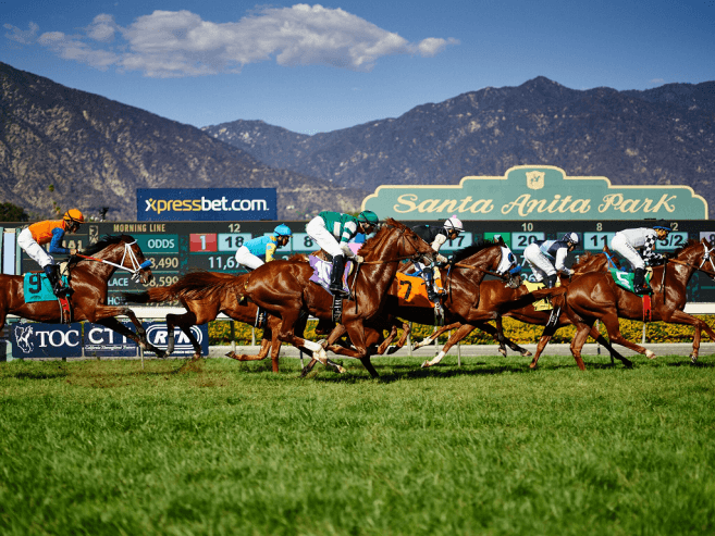 Los Angeles DA Task Force Finds No Criminal Evidence in Santa Anita Horse Deaths