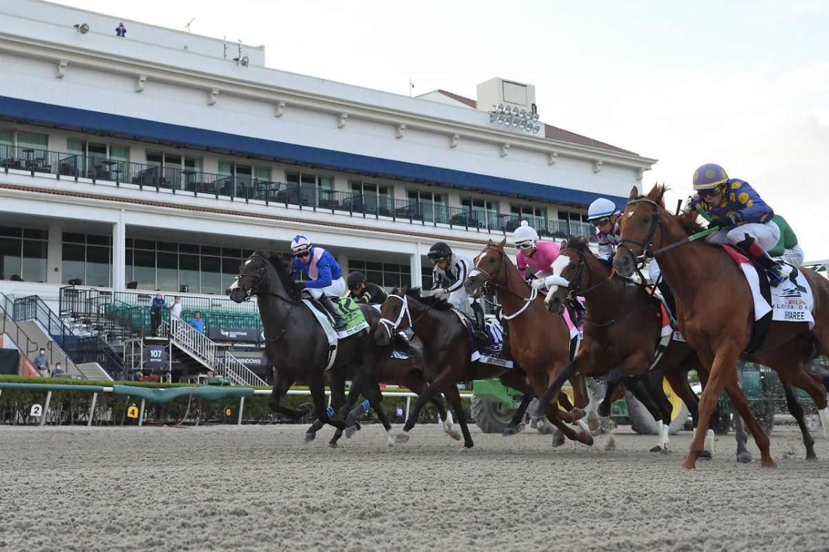 Bettor Turns 50 Cents Into $525K at Gulfstream Park in Southern Florida